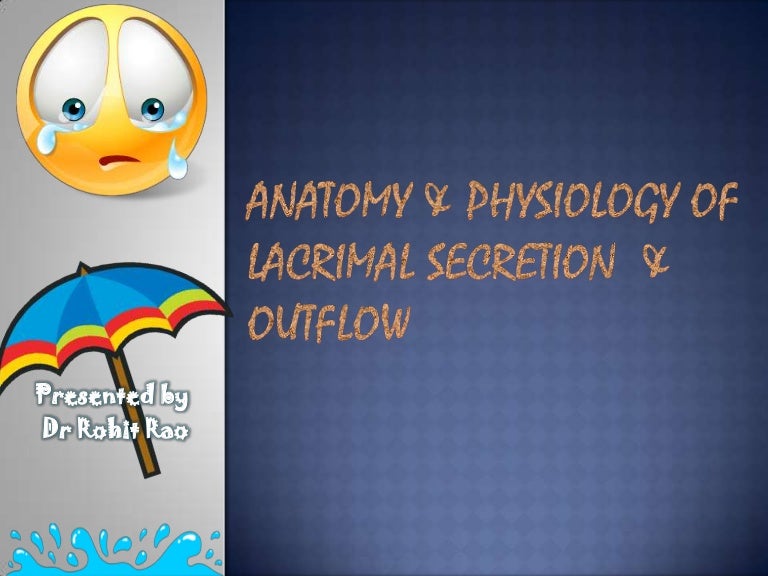 Wolffs Anatomy Of The Eye And Orbit Pdf